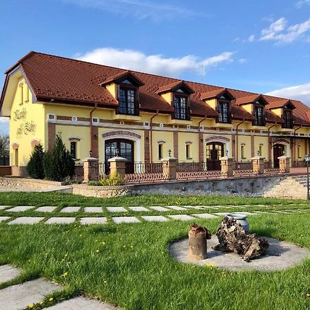 Hotel Kastely Grof Zichy à Haniska Extérieur photo