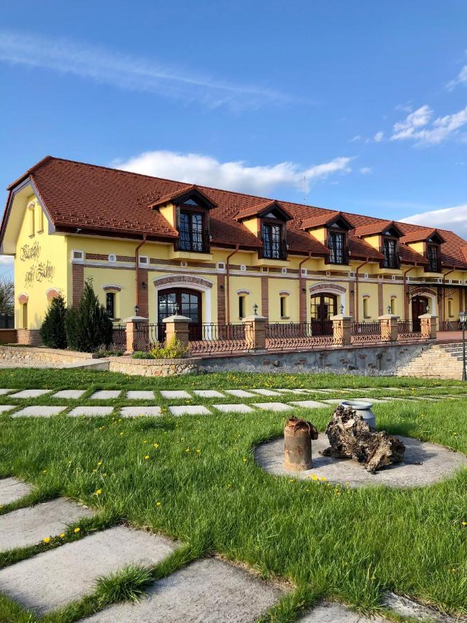 Hotel Kastely Grof Zichy à Haniska Extérieur photo