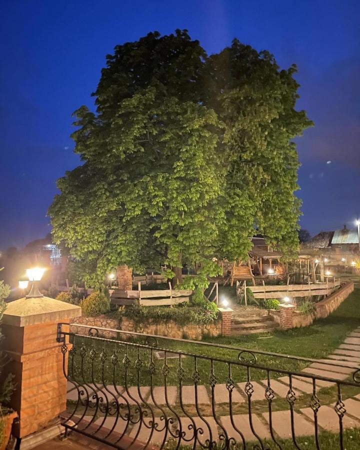 Hotel Kastely Grof Zichy à Haniska Extérieur photo